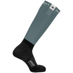 Dissent IQ Comfort Targeted Cushion Socks